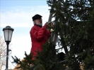 WeihnachtsbaumEchtz 058