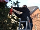 WeihnachtsbaumEchtz 059