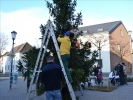 WeihnachtsbaumEchtz 069