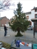 WeihnachtsbaumEchtz 070