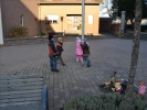 WeihnachtsbaumEchtz 072