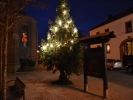 WeihnachtsbaumEchtz 082