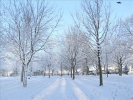 Winter2012 009