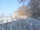 Winter2012 013