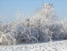 Winter2012 015
