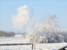Winter2012 016