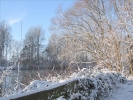 Winter2012 020