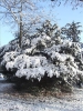 Winter2012 022