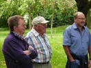 Stifterwald2014 008