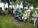 Stifterwald2014 009