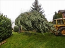 Weihnachtsbaum2014 003