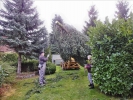 Weihnachtsbaum2014 005