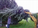 Weihnachtsbaum2014 006