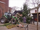 Weihnachtsbaum2014 012