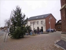 Weihnachtsbaum2014 020