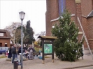 Weihnachtsbaum2014 025