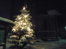 Weihnachten2010 006