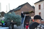Weihnachtsbaum2016 005