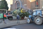 Weihnachtsbaum2016 007