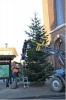 Weihnachtsbaum2016 017