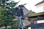 Weihnachtsbaum2016 018