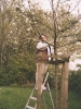 Obstbaumpflege2002 002