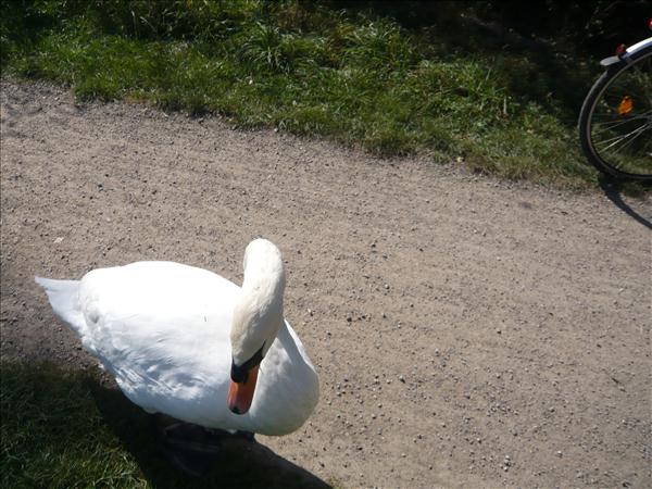 EchtzErleben6b 034