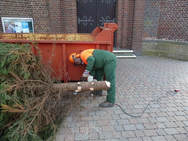 WeihnachtsbaumEchtz 014