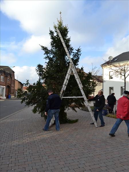 WeihnachtsbaumEchtz 021