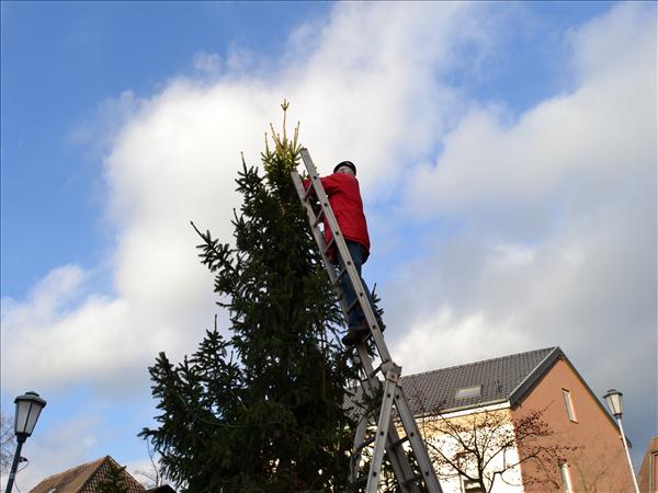 WeihnachtsbaumEchtz 032