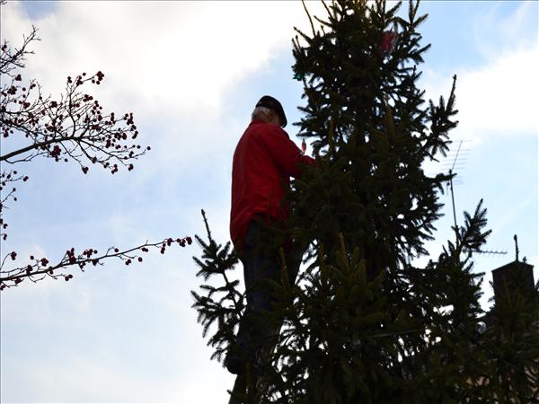 WeihnachtsbaumEchtz 037