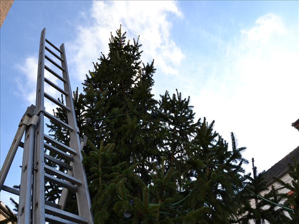 WeihnachtsbaumEchtz 045