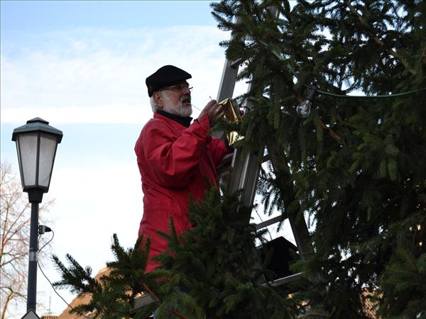 WeihnachtsbaumEchtz 058