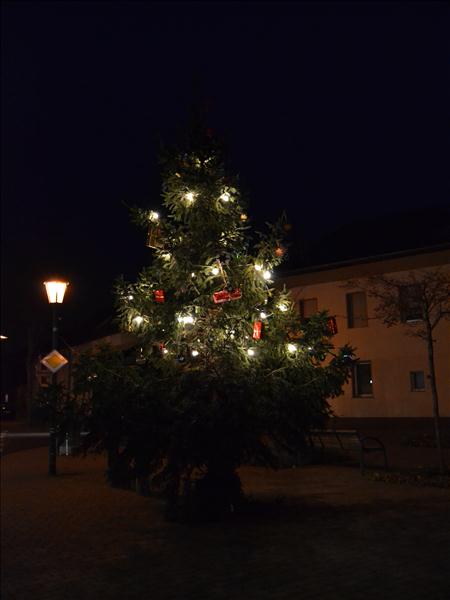 WeihnachtsbaumEchtz 085