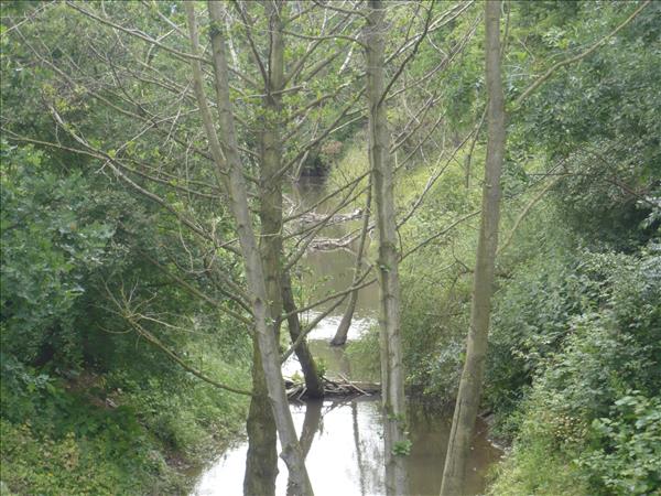 EchtzErleben2013 164