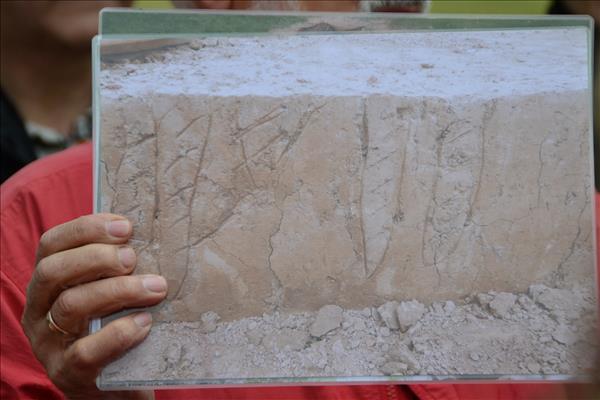 EchtzErleben2014 056