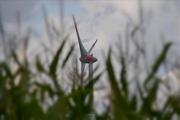 Echtzerleben0814 017