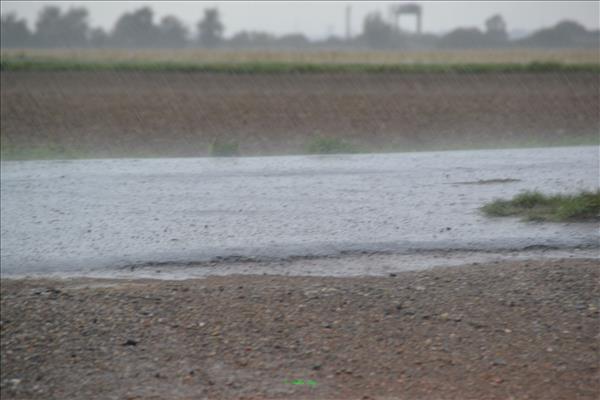 Echtzerleben0814 047