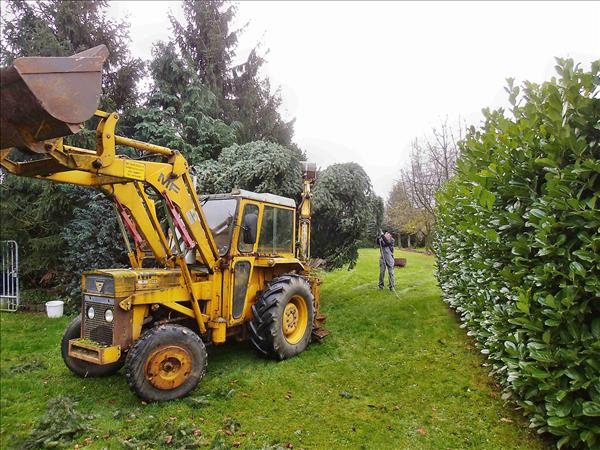 Weihnachtsbaum2014 004