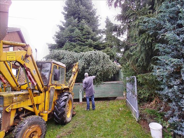 Weihnachtsbaum2014 009