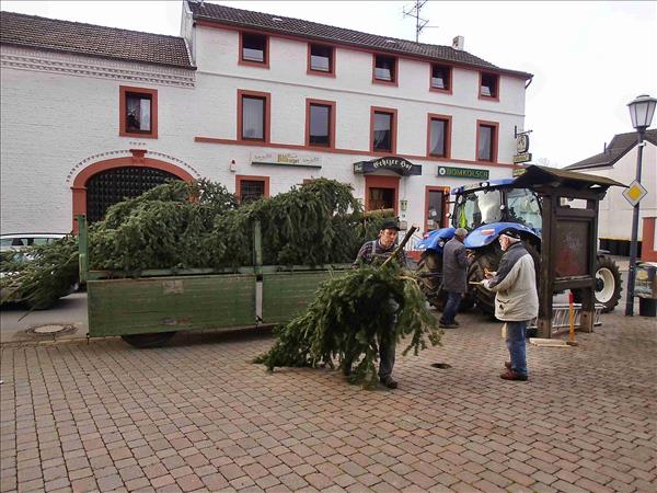 Weihnachtsbaum2014 010