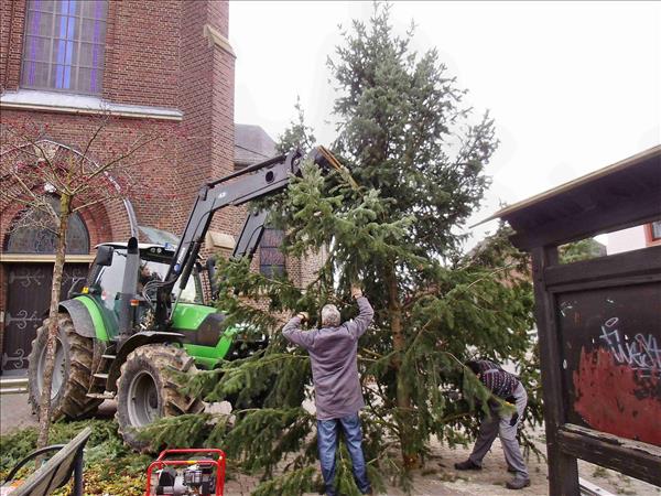Weihnachtsbaum2014 011