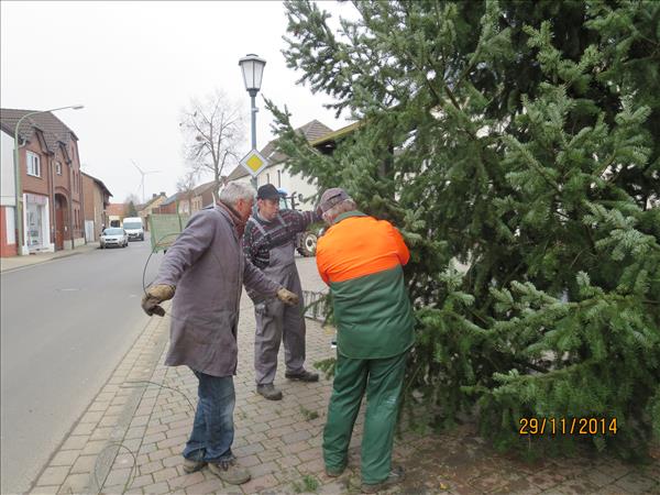 Weihnachtsbaum2014 013