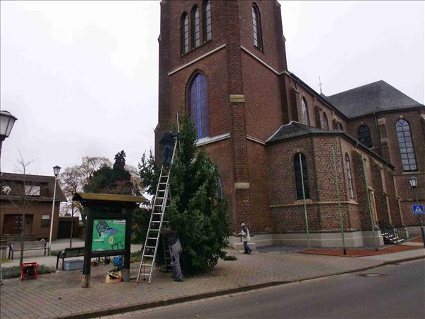 Weihnachtsbaum2014 016