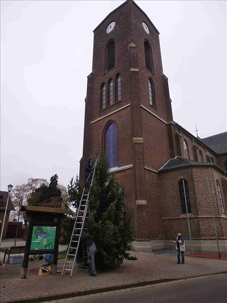 Weihnachtsbaum2014 017