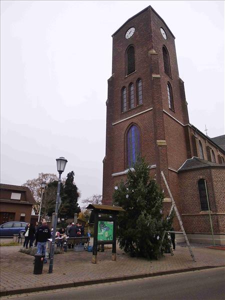 Weihnachtsbaum2014 024