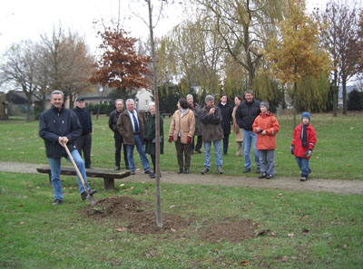 Baumpflanzung